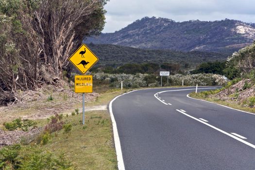 Australian wildlife, road signs - Kangaroo and wildlife on a road surrounded by mountains and trees