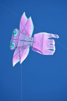 A flying kite in the sky