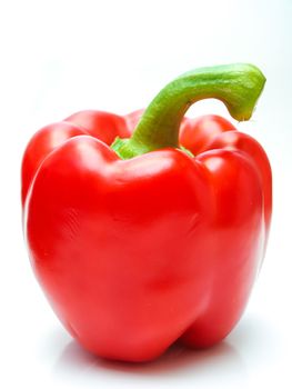 Red pepper isolated towards white background