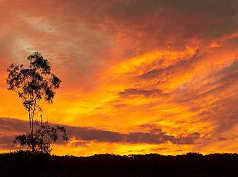 Fiery Australian sunset silhouette late evening background