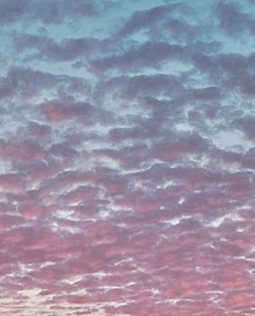 Meteorology weather science red pink altocumulus clouds at sunrise banding across sky background