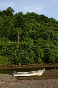 boat in ocean with lush tropical foliage in central america