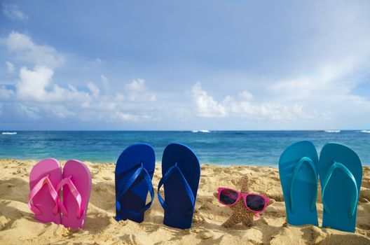 Flip flops and starfish with sunglasses on sandy beach in Hawaii, Kauai