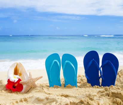 Flip flops, seashell and starfish with tropical flowers on sandy beach in Hawaii, Kauai