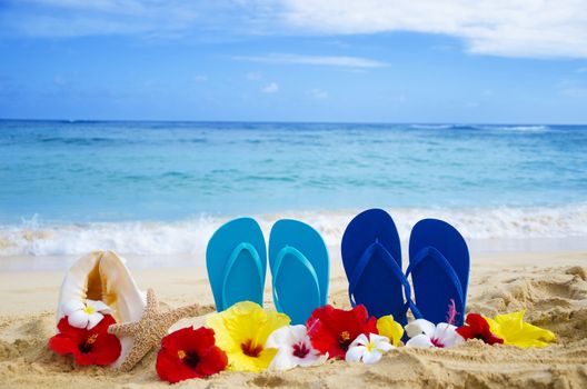 Flip flops, seashell and starfish with tropical flowers on sandy beach in Hawaii, Kauai