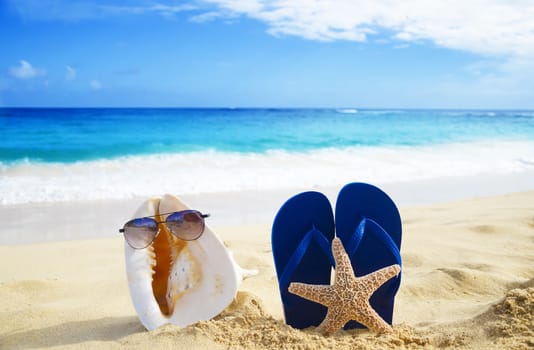Seashell with sunglasses and flip flop wiyh starfish on sandy beach in Hawaii, Kauai