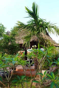 traditional house of Vietnam