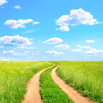 Rural summer landscape with old road