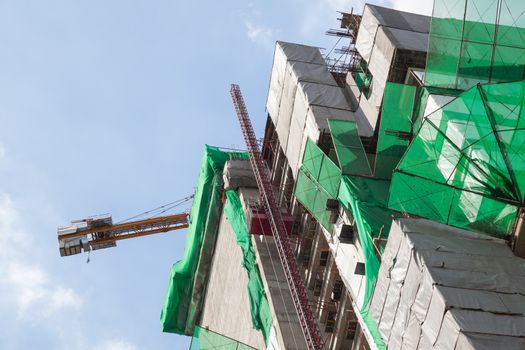 Big Construction Site with Cranes