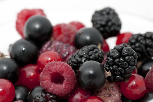 Mix of ripe organic berries close up