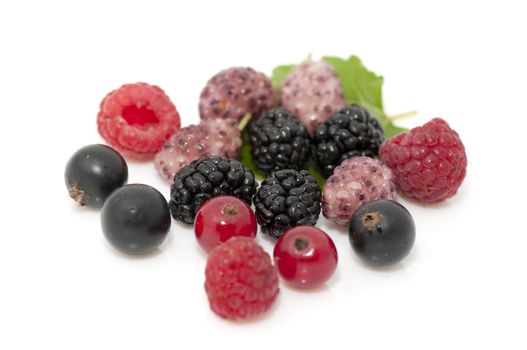 Mix of ripe organic berries close up