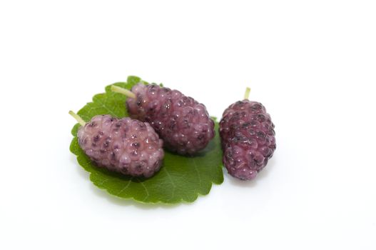 Fresh ripe organic mulberries on white background