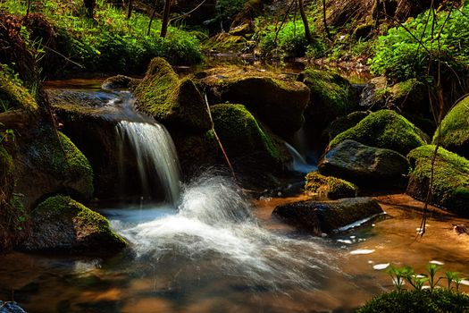 The river runs over boulders in the primaeval forest