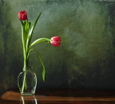 Grunge still lifel two red tulips in a glass bottle on a wooden table against a green wall