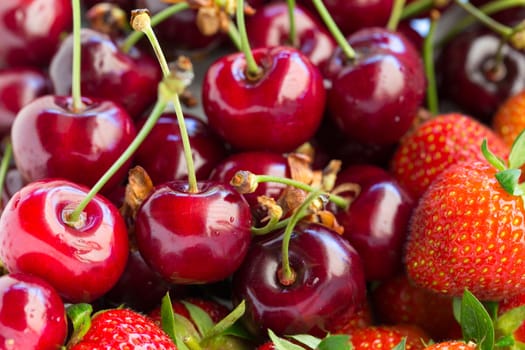 Closeup of red fresh ripe strawberries and cherry.