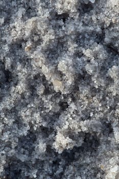 Texture of a sand. Closeup macro