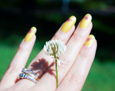 Little clover flower inbetween female fingers, beautiful yellow manicure