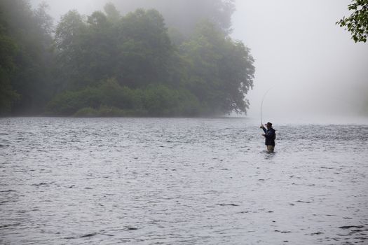 A fly fisher stands in the water and casts a line out while trying to catch steelhead in the pacific northwest. This fly fisherman has a great cast and is very experienced, standing in a foggy scene on the river.