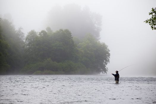 A fly fisher stands in the water and casts a line out while trying to catch steelhead in the pacific northwest. This fly fisherman has a great cast and is very experienced, standing in a foggy scene on the river.