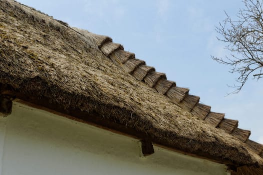 Close-up of a reed roof