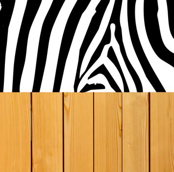 Zebra skin on wood background 