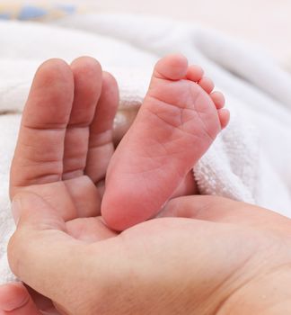 parental hand holds legs of the baby