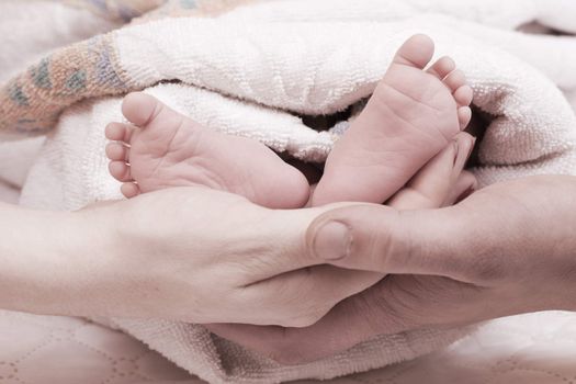 parental hand holds legs of the baby