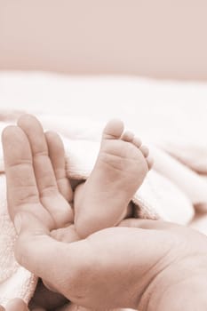 parental hand holds legs of the baby