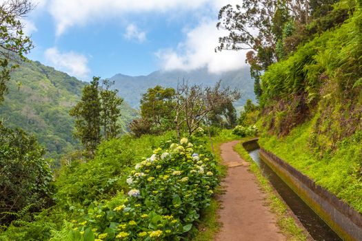 Madeira, hiking along irrigation channel (Levada)