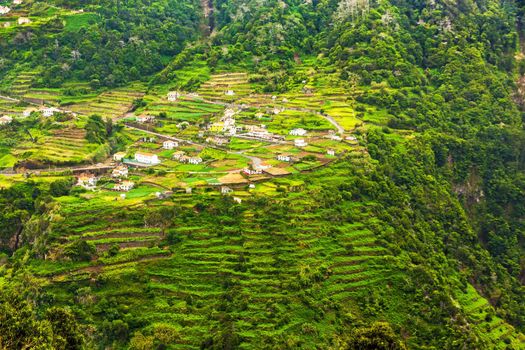 Cultivated terraced hill on a cliff on the island of Madeira