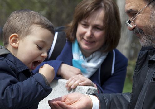 Happy grandparents with little boy in park, eating, feeding