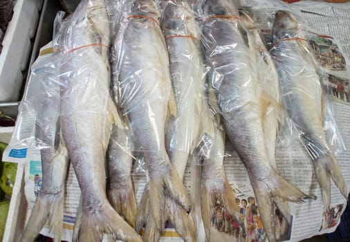 group of salted fish for sale