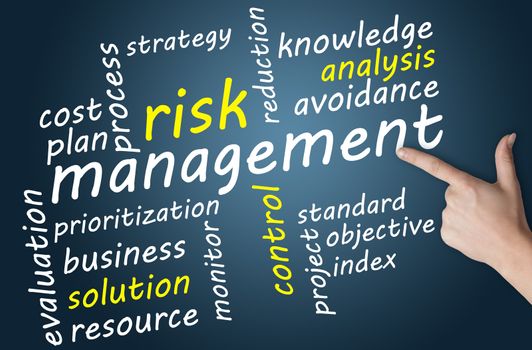 Business concept: Risk management in word tag cloud