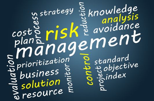 Business concept: Risk management in word tag cloud