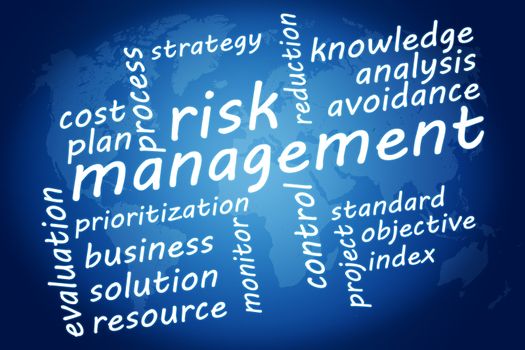 Business concept: Risk management in word tag cloud