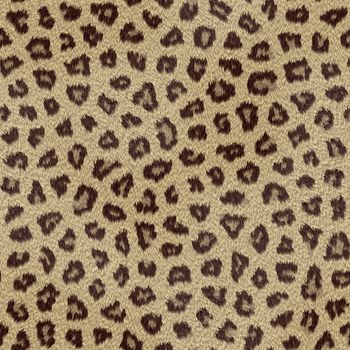 abstract leopard hair texture background