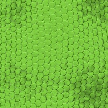 Iguana lizard skin pattern