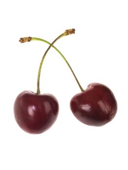 Fresh Cherry