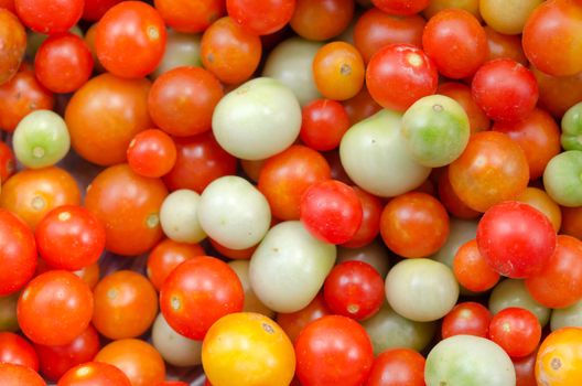 a lot of colorful  tomatoes ,  full background .
