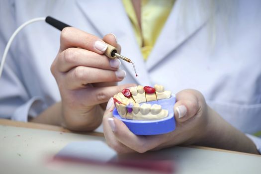 Dental Laboratory - teeth prosthetics