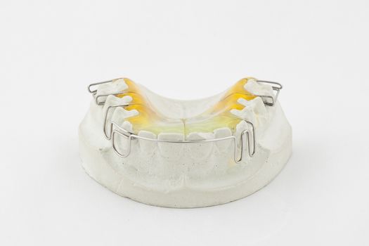 Dental plate on white background