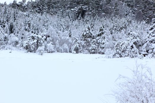 A gray winter day in Norway with snow in the air