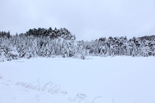 A gray winter day in Norway with snow in the air