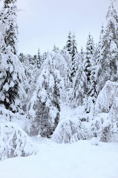 A gray winter day in Norway with snow in the air