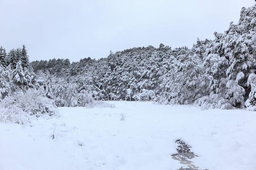 A gray winter day in Norway with snow in the air