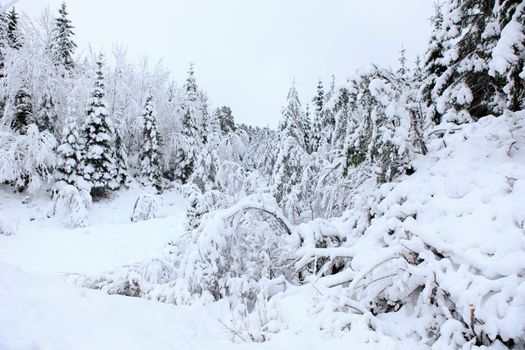 A gray winter day in Norway with snow in the air