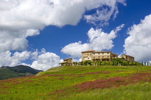 Tuscany - landscape with spring flowers, Italy