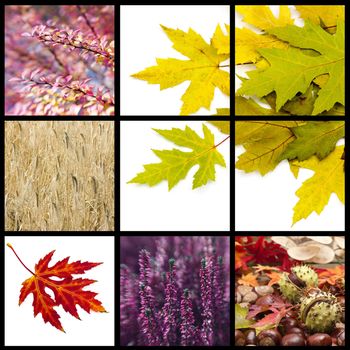 Autumn collage with different autumn pictures 