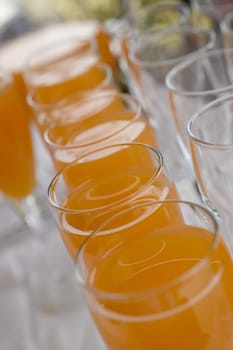 Row of Orange drink flute glasses