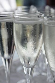 Pouring sparkling beverage on flute glasses